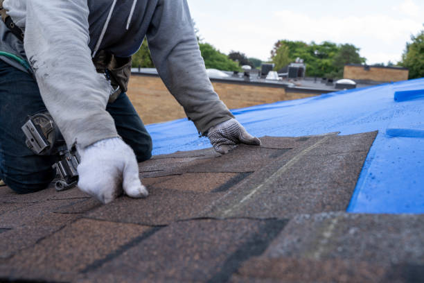 Best Shingle Roofing Installation  in Air Force Academy, CO