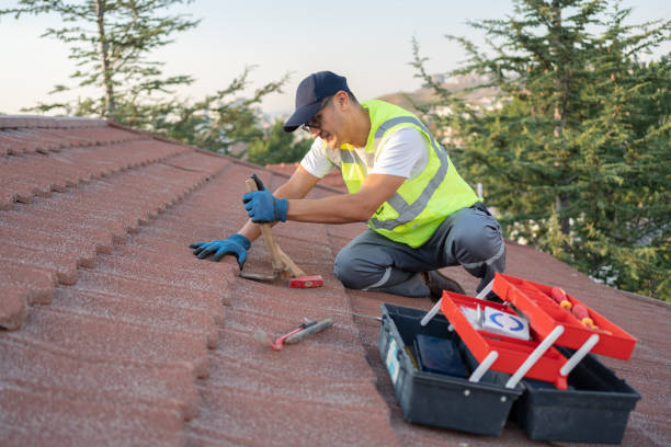 Professional Roofing Contractor in Air Force Academy, CO