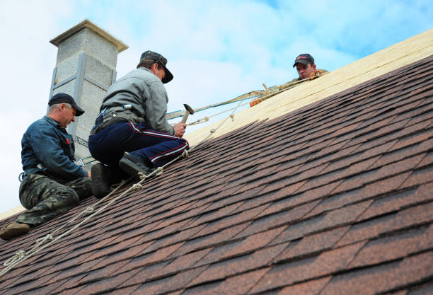 Best Emergency Roof Repair  in Air Force Academy, CO